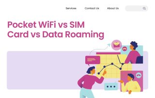 Pocket WiFi vs SIM Card vs Data Roaming for USA Travel